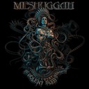 Comprar Meshuggah - The Violent Sleep Of Reason