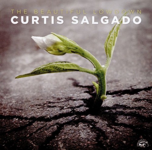 Caratula para cd de Curtis Salgado - The Beautiful Lowdown