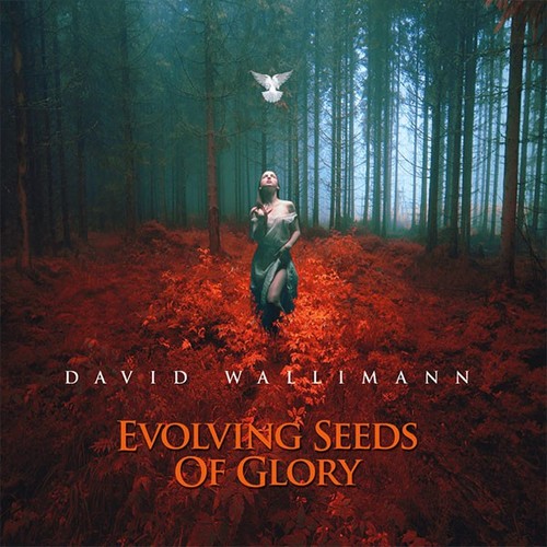 Caratula para cd de David Wallimann - Evolving Seeds Of Glory